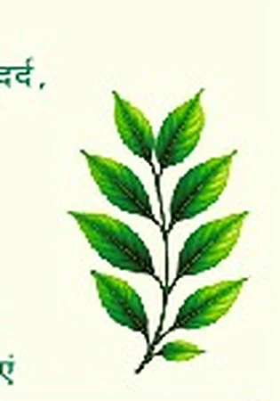 प्राकृतिक हरियाली और औषधीय पौधों का चित्र